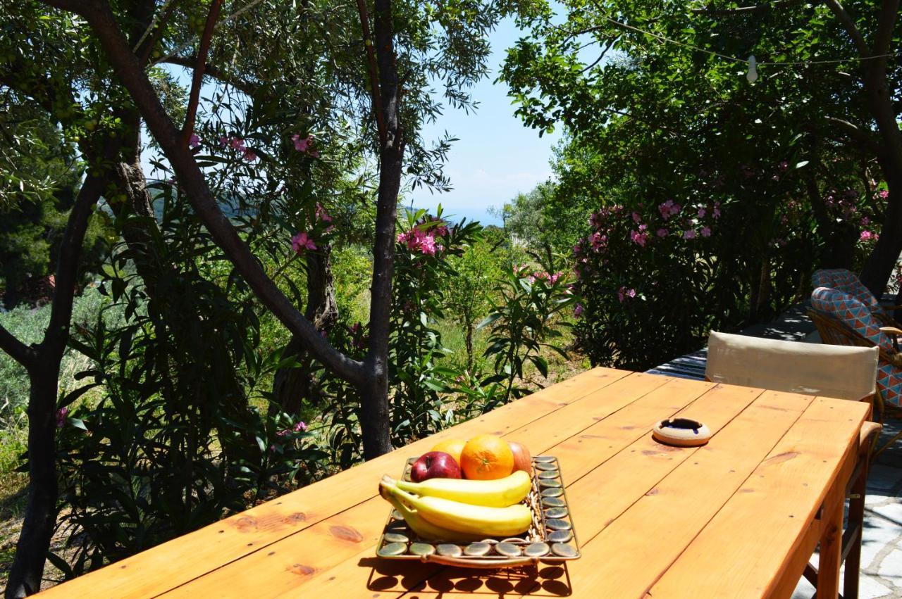 Alikias Country House Panormos  Exterior foto