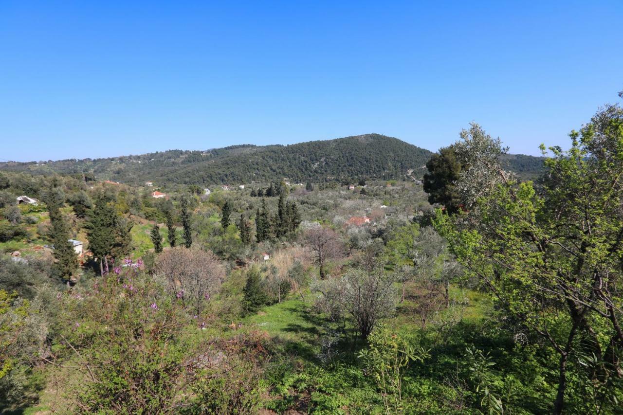 Alikias Country House Panormos  Exterior foto